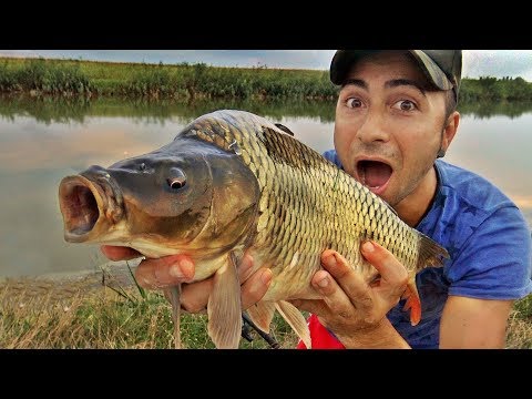 Video: Ce Fel De Pește Se Găsește în Oka
