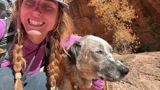 Winter Backpacking Goes Wrong? Information