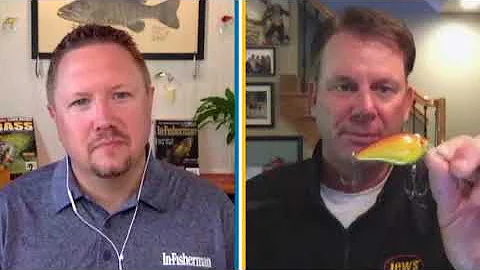 Strike King KVD J-100 Jerkbait & KVD 1.5 Hard Knock