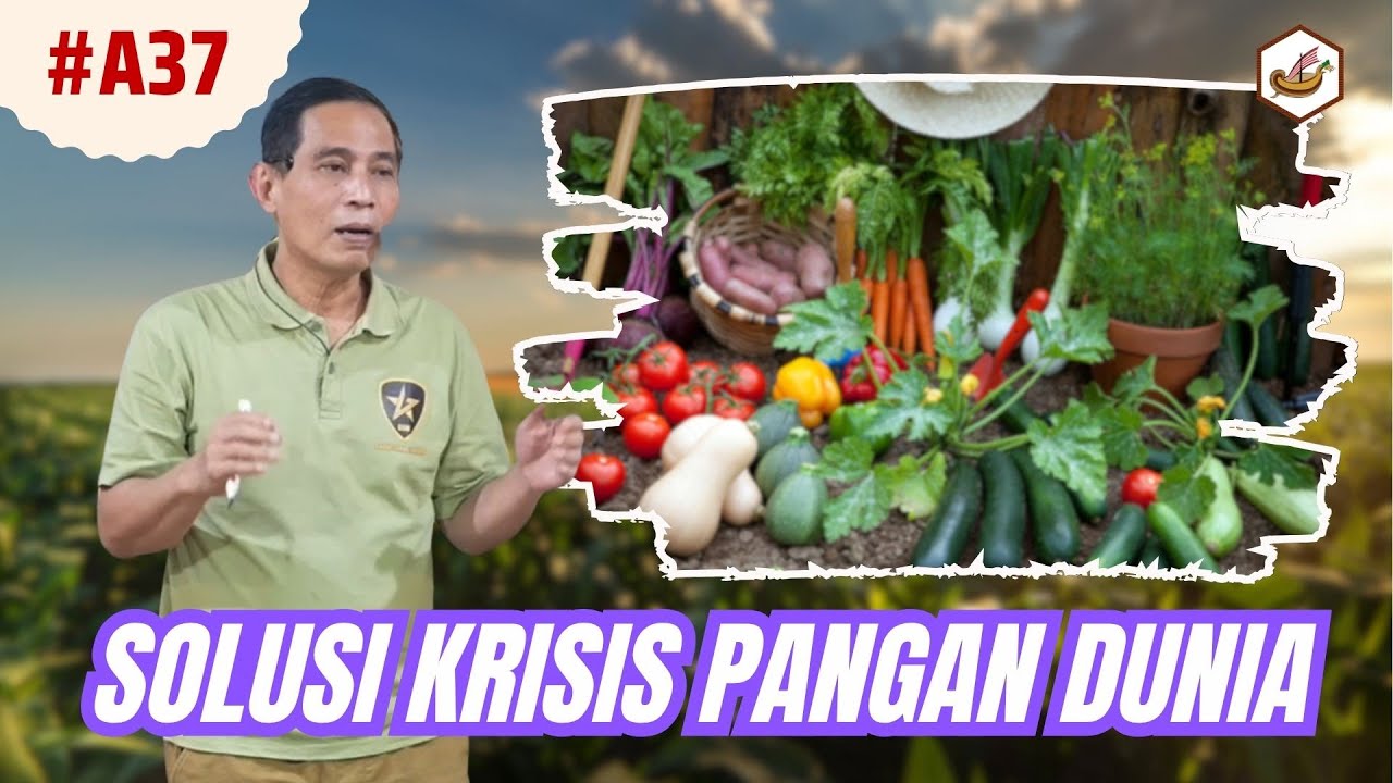 Pertanian Adalah Solusi Krisis Pangan Dunia