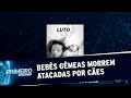 Recém-nascidas morrem após serem atacadas pelos cachorros da família | Primeiro Impacto (25/06/20)