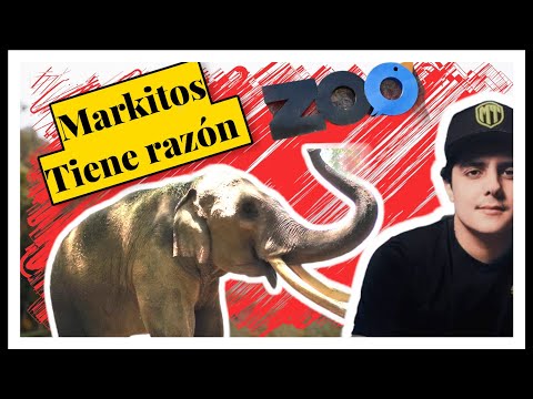 @MarkitosTOYS TIENE RAZON - El Chinaloense