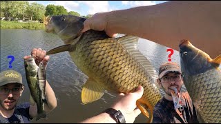 You Won't Believe What These Fish Yearn For!!  (using controversial bait & comeback of the century)