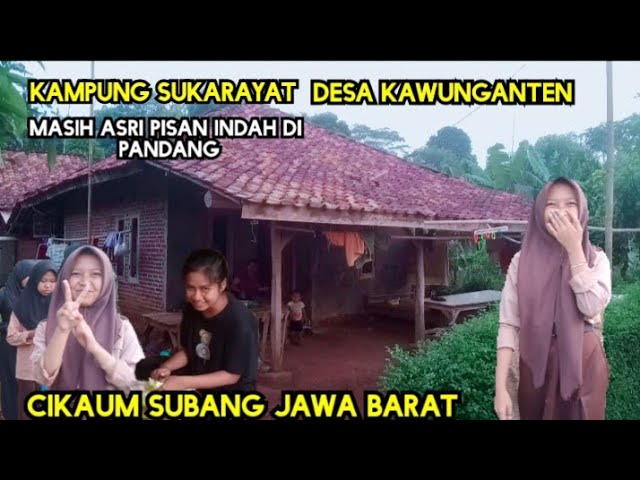 KAMPUNG SUKARAYAT_DESA KAWUNGANTEN_CIKAUM SUBANG?? class=