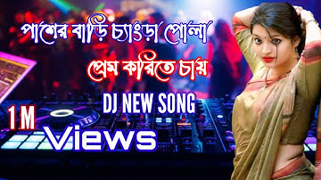 Pasher Barir Chengra Pola Dj -পাশের বাড়ির চ্যাংড়া পোলা  Tiktok Viral #song | Bangla Dj Song