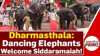 Dharmasthala: Dancing elephants welcome Siddaramaih | NewsFirst Prime