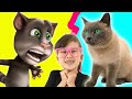 Talking Tom VS Real Talking Cat. My Talking Tom In Real Life with Abby Hatсher. DIY for Kids