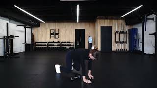 Quadruped Dumbbell Pull Through