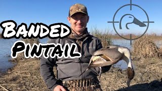 This hunt was an absolute blast with my grandpa, uncle, and dad! we
had a great day shot 20 birds including uncle's first banded duck
grandpa s...