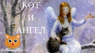 Кот и Ангел. Добрый рассказ. Кот и Ангел. Добрый рассказ.