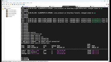 Cisco SD-WAN: Automated Onboarding Cisco C8000v by Bootstrapping File