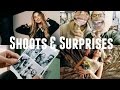 SHOOTS AND SURPRISES