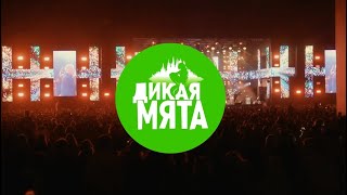 Aftermovie фестиваля «Дикая Мята-2023»