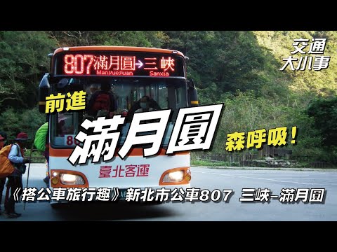進滿月圓「森」呼吸!前往熊空、大板根|精選路線|新北市公車807《三峽-滿月圓》