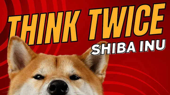 Top 5 Reasons to Not Get a Shiba Inu Dog - Dogs 101 - DayDayNews