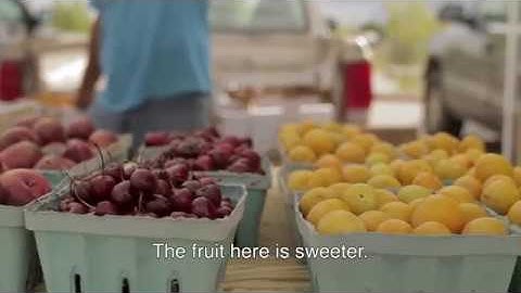 Thumbnail of Double Up Food Bucks Stories: Dahlia's Story