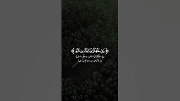 ﴿وَفِی خَلۡقِكُمۡ وَمَا یَبُثُّ مِن دَاۤبَّةٍ ﴾ [الجاثية ٤] القارئ ياسر الدوسري