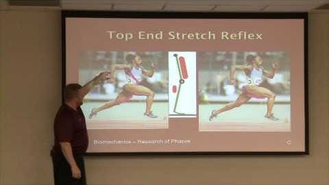 Transfer of Speed Performance Presentation cal dietz Video Part 1