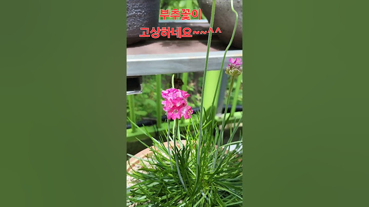 부추꽃이 고상하게~~*