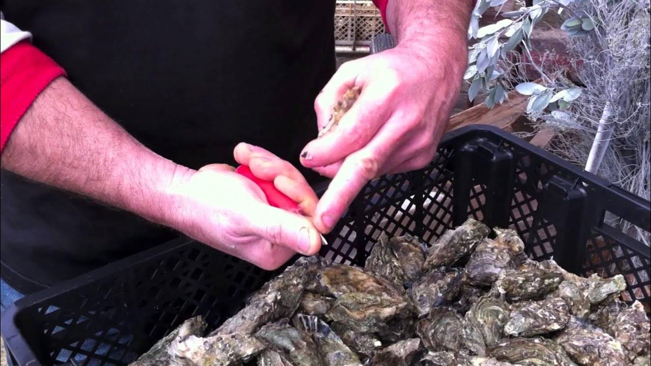 Ouvrir les huîtres facilement, sans se mutiler la main - Ouverture