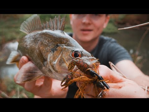 insane-flooded-bass-on-diy-finesse-jigs-4k