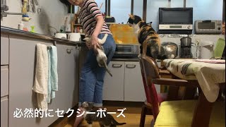 決して故意ではないポーズ
