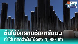 “ต้นไม้จักรกล” ดูดซับคาร์บอนไดออกไซด์ได้มากกว่าต้นไม้จริง 1,000 เท่า | TNN Tech Reports