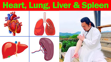 Tai Chi For Heart, Lung, Liver and Spleen Function  |  Taichi Zidong