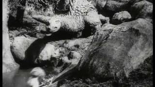 Siegfried et Fafnir (1924) Profile
