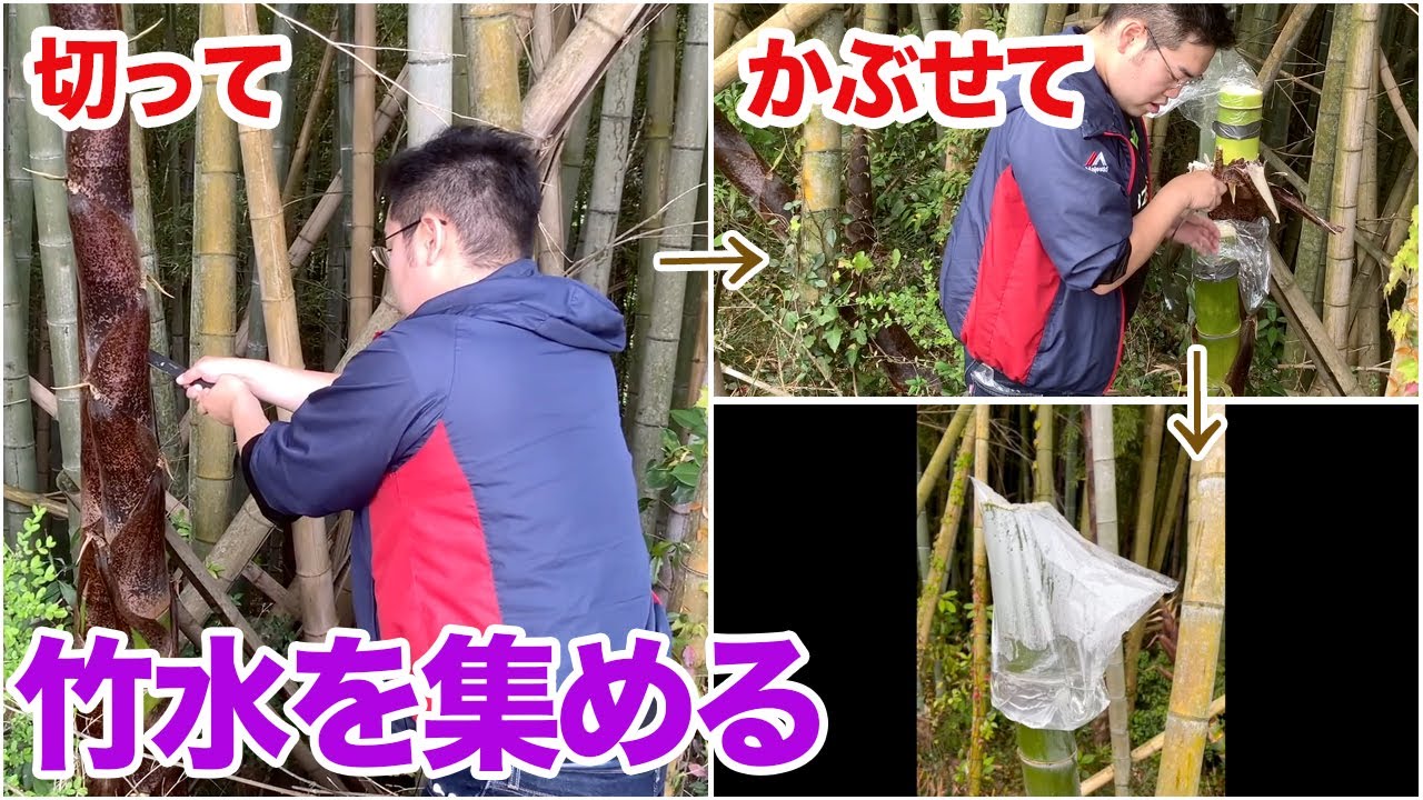 【竹水】竹から噴き出た水で炊く、至高のタケノコご飯 - YouTube