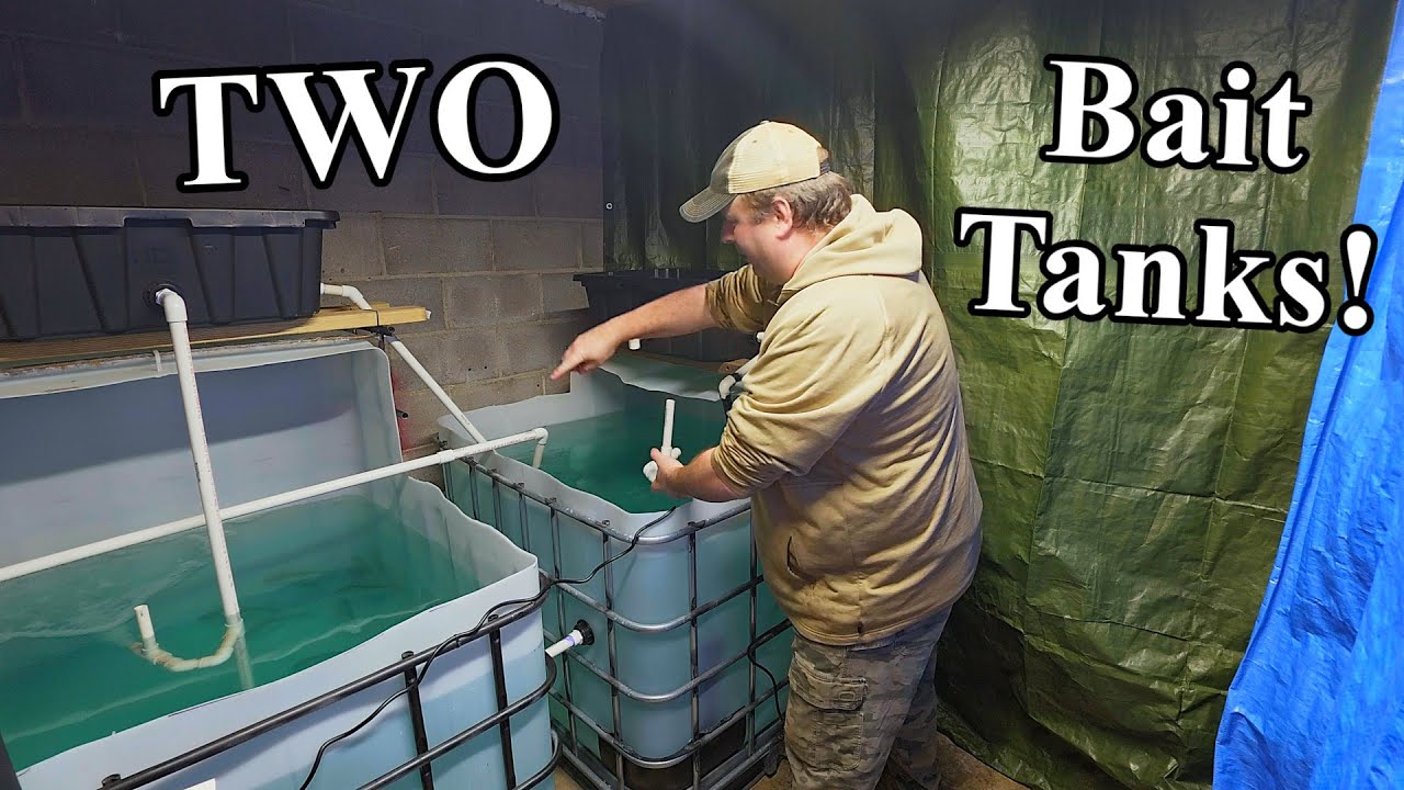 Самодельный резервуар для наживки: разделение сельди с помощью двух контейнеров IBC (самодельная ...