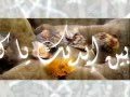 اغنية مولايا سبحانك