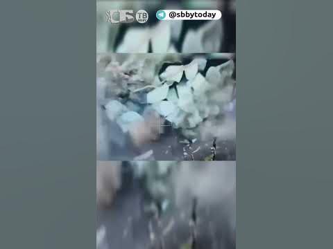 Мини дрон камикадзе. Kargu-2 бпла. Беспилотник камикадзе ланцет. Фпв дрон камикадзе. Оператор дрона камикадзе.