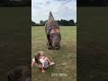 Beautiful Wild Animal Growth Transformation!
