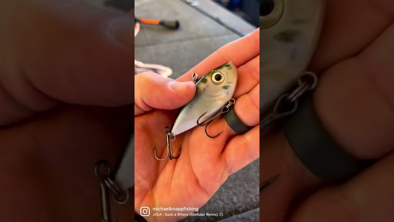 Red eye Shad