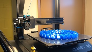 3D-printed snake time-lapse (17 hours)