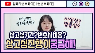 김세라변호사의 나는변호사다 제23화 