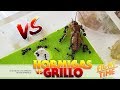 Hormigas VERSUS Grillo | Top peleas de insectos ! Messor barbarus
