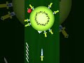 Knife Hit Gameplay Ketchapp game Kiwi second level Knife Hit Gameplay Ketchapp game Kiwi second level