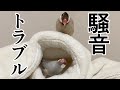 迷惑なパリピ文鳥にキレるシルバー文鳥