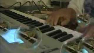 Somali live music by Hashim yare screenshot 4
