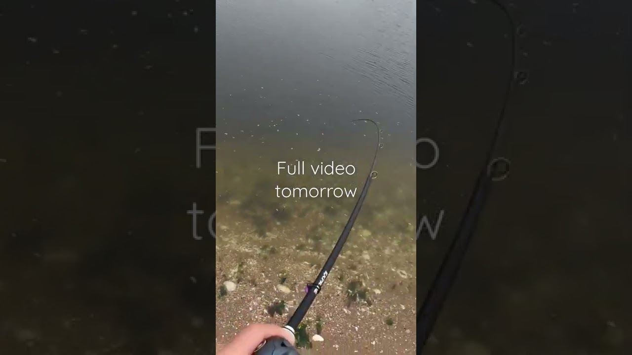 BUDGET Fluke Rod/Reel Review - 23 Daiwa Tatula XT Shimano Ultegra - Best  Starting Single Jig Setup 