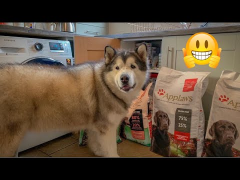 what-we-feed-our-pets-|-applaws-pet-food-|-ad