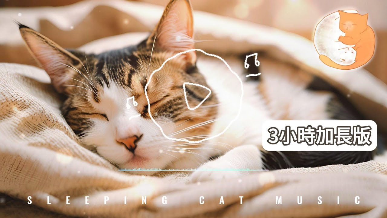 【100%無廣告貓咪放鬆音樂】放鬆心情丨舒緩焦慮 丨睡眠音樂丨令貓咪和人都可以安然入睡 （3小時加長版）
