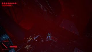Vertical Pushups?! - Ruiner