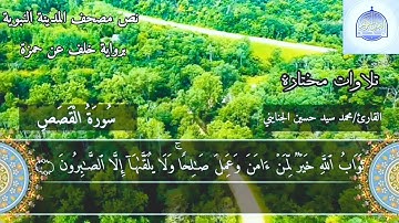 تلاوة رائعة | القارئ محمد سيد حسين الجنايني | برواية خلف عن حمزة | لما تيسير من سورة القصص| HD