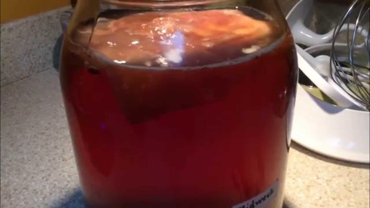 A Day By Day Guide To Making Kombucha - Youtube