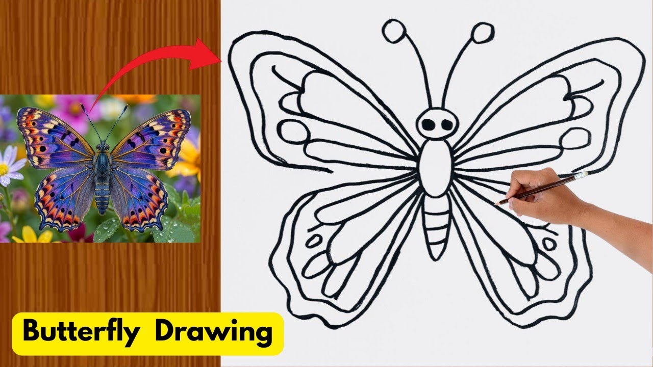 How to draw a Butterfly easy step by step|| butterfly pencil drawing ...