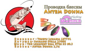 Ловля пассивной форели на Antem Dohna.