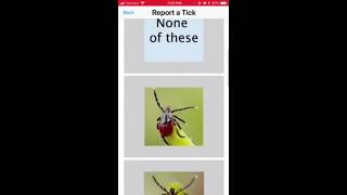 How to report a tick in the Tick App screenshot 5